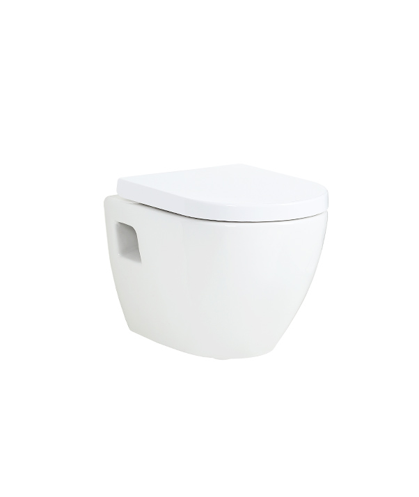 Wall hung toilet 5003