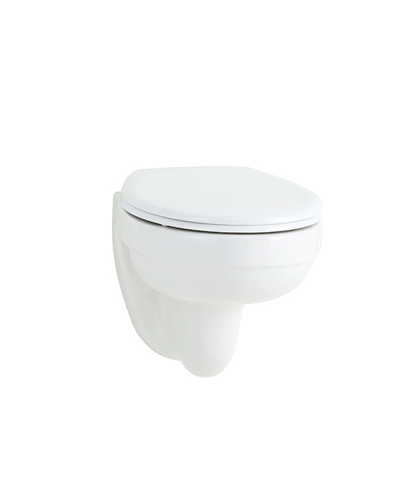 Wall hung toilet 5005